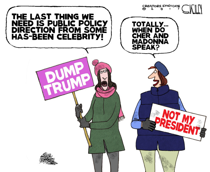 Image result for political cartoons about crazy celebrities