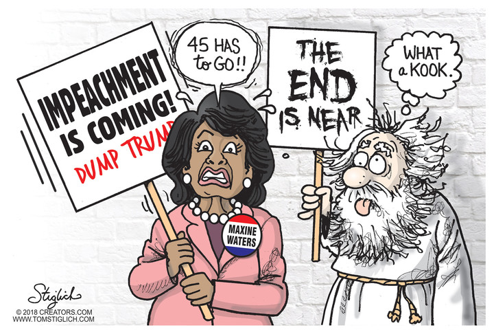 Image result for maxine waters cartoon
